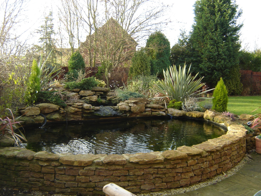 large-raised-oval-koi-pool-made-from-natural-stone-in-northamptonshire-uk